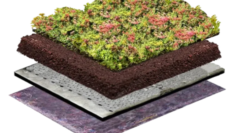 Een sedum groendak als duurzame oplossing voor moderne woningen